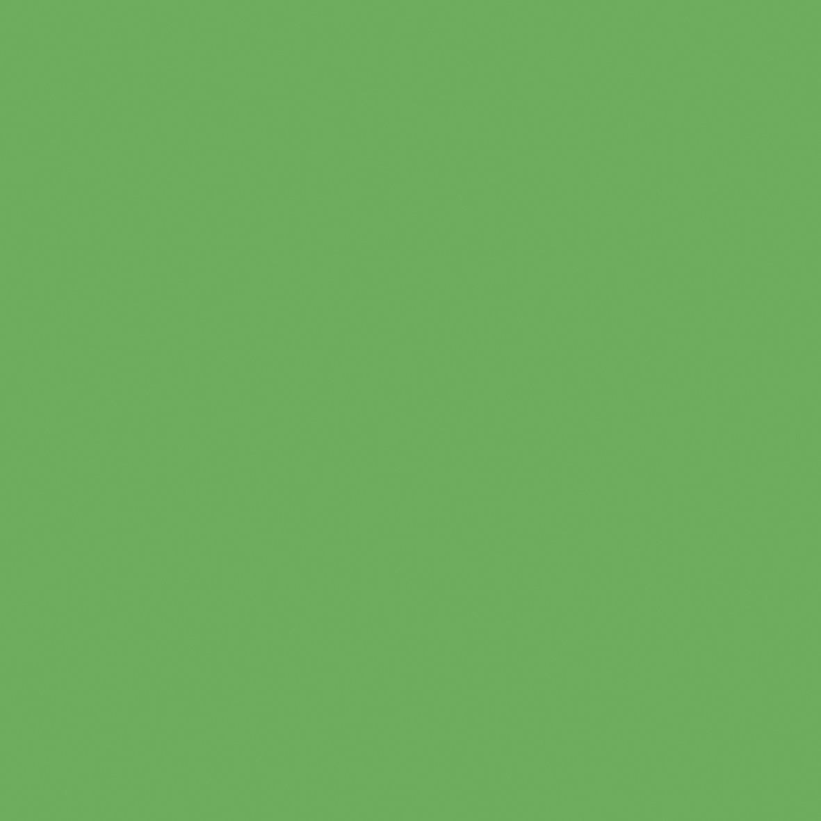 12 x 12 Weave Cardstock Bundle - Frog